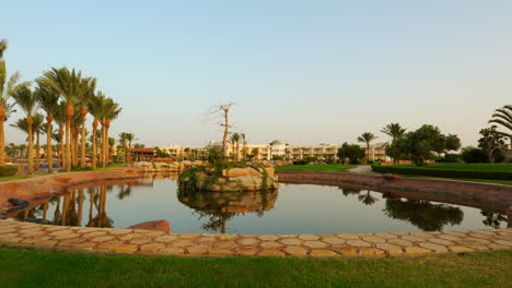 palm trees on the calm waters of pool at seaside resort in egypt, hurghada