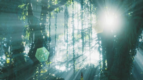 Sunlight through jungle leaves creates a peaceful natural vibe