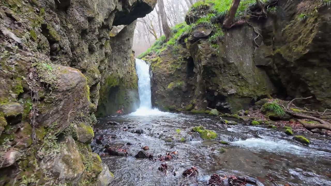 Foss i en japansk skog med en elv som renner ved siden av og noen steiner