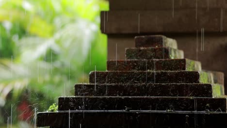 rain water drop on moss brick