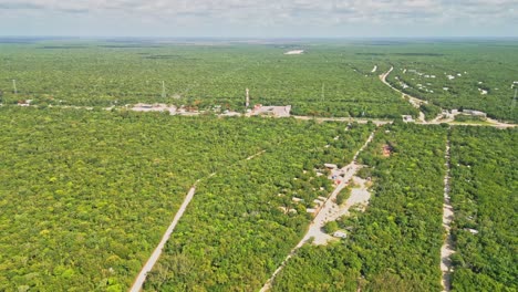 aerial view of pristine tropical coastline with clear turquoise water background and lush green woodland, captured near xpu-ha beach in riviera maya, mexico