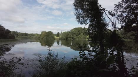 A-calm-lake-reflecting-the-sky-in-an-old-woodland-in-rural-England,-pan-from-right