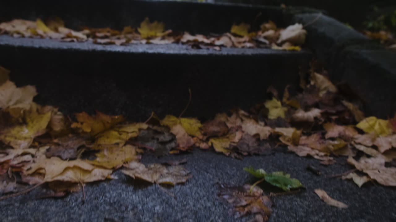 flying shot over dark stairs to reveal various vaults in the pere lachaise cemetary