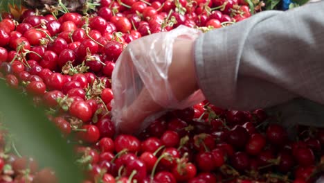 una persona con guantes eligiendo cerezas de un puesto de mercado
