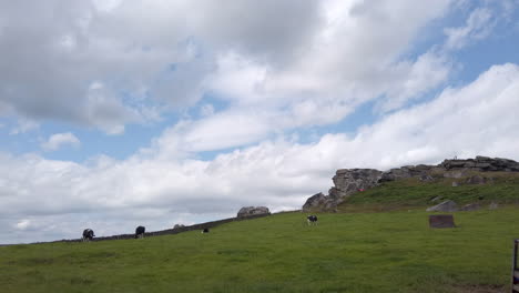 fading in shot of almscliffe crag in north yorkshire on a summer’s day with cows in foreground