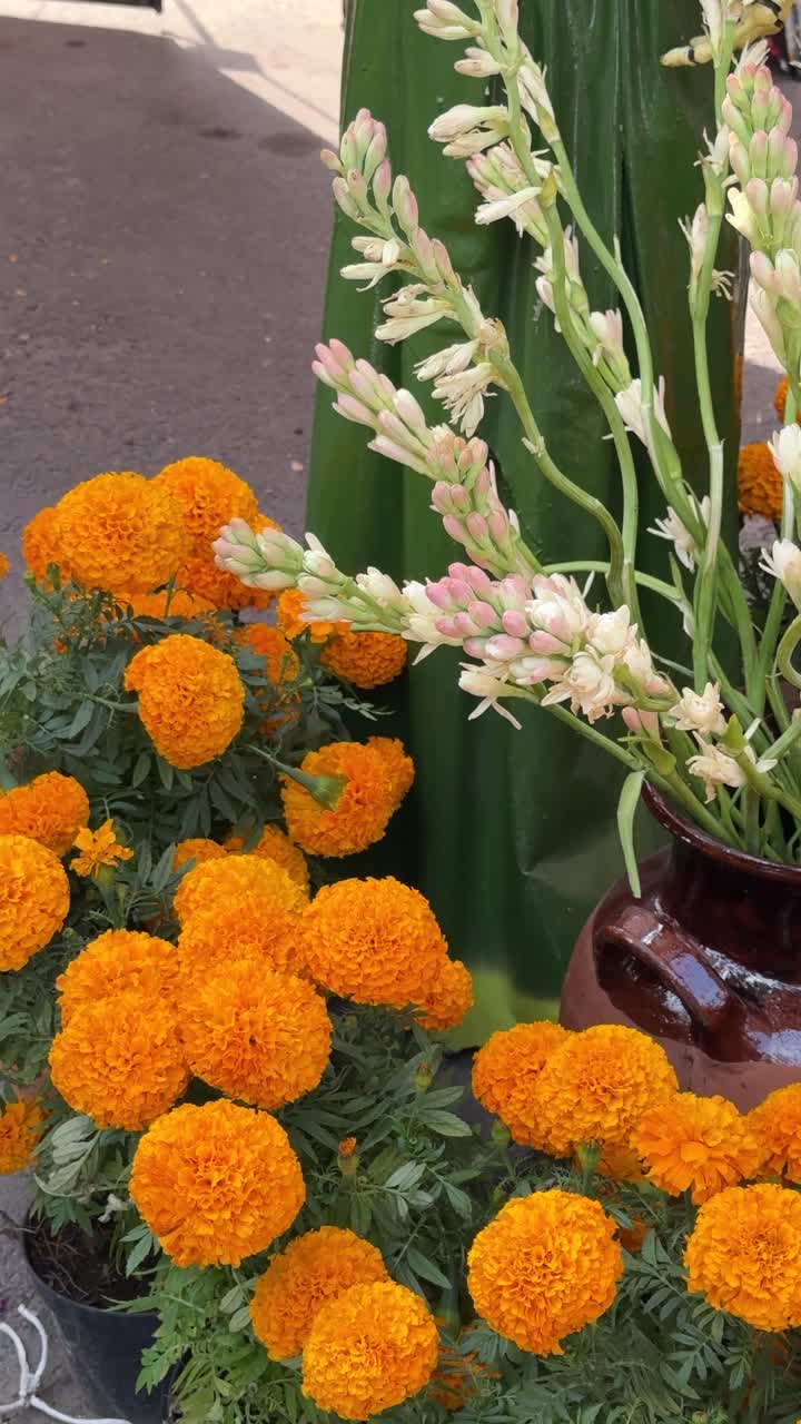 Marigolds and Tuberose Flowers in Clay Pot