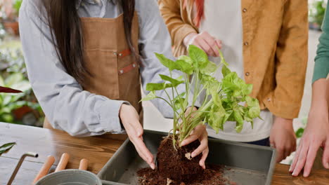 friends learning how to pot a plant