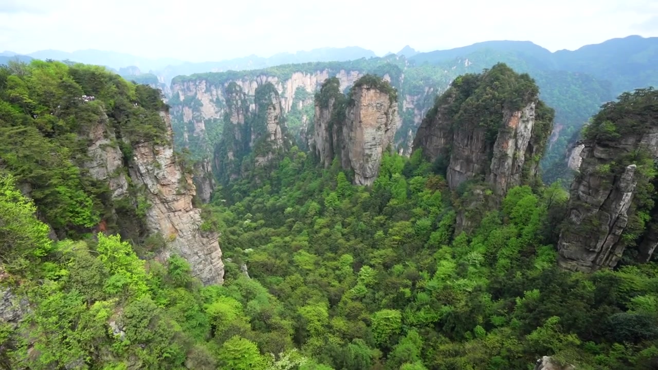 Vista maestosa delle formazioni rocciose uniche e della foresta lussureggiante nel villaggio di Huangshi, Cina.