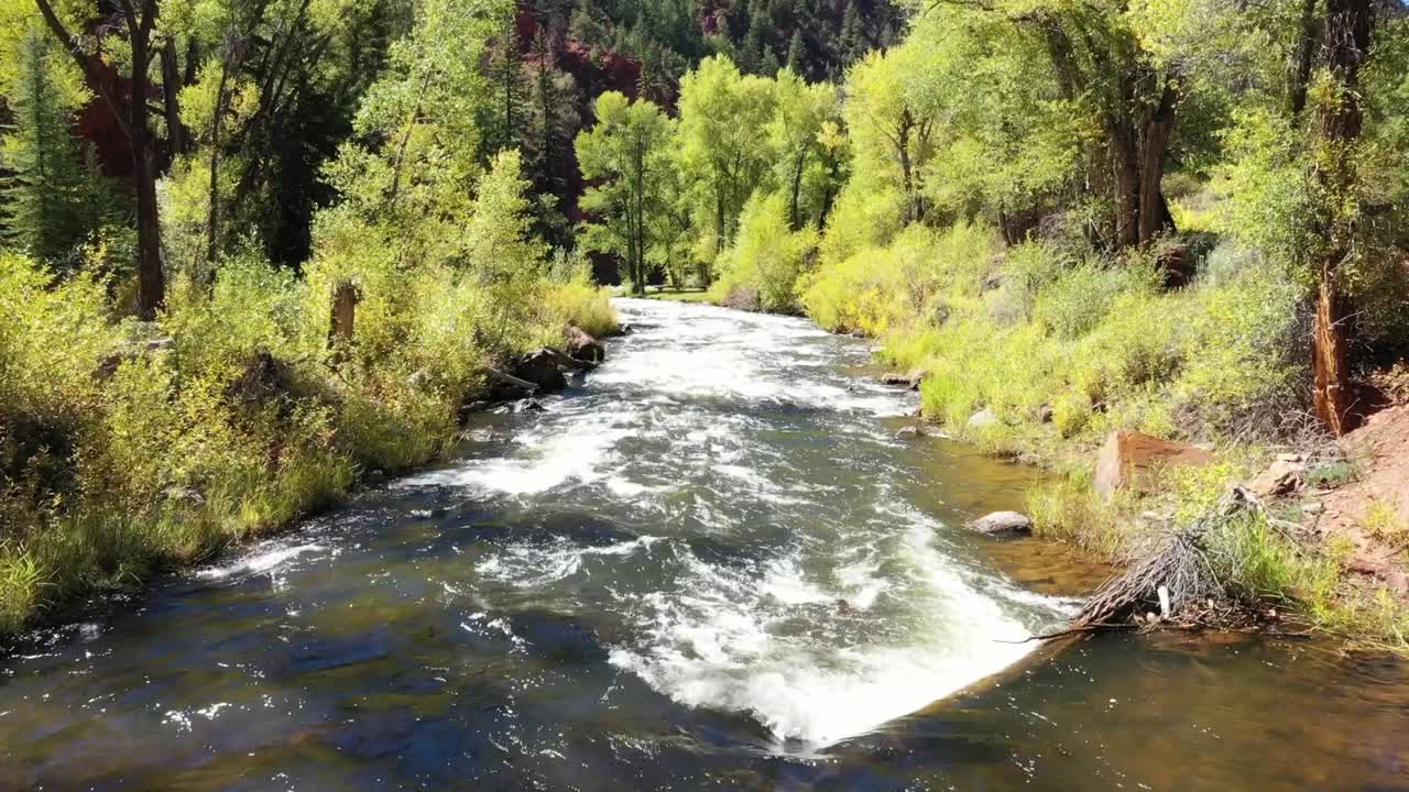 Autunno in Colorado lungo il fiume Roaring Fork in direzione di Aspen