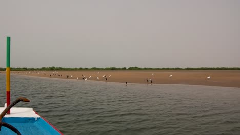 paseo en barco por el río en el sur de senegal