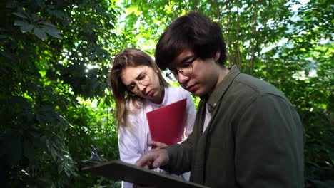 los científicos examinan las plantas en el invernadero