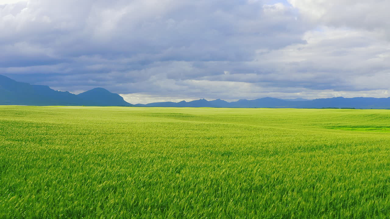 인생은 가능성으로 가득 찬 광활한 영역입니다.