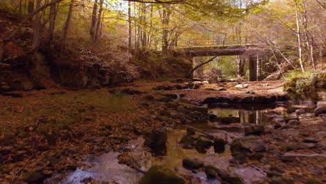 Niedrige-Drohnenaufnahmen-über-Einem-Kleinen-Fluss-Im-Herbst-1