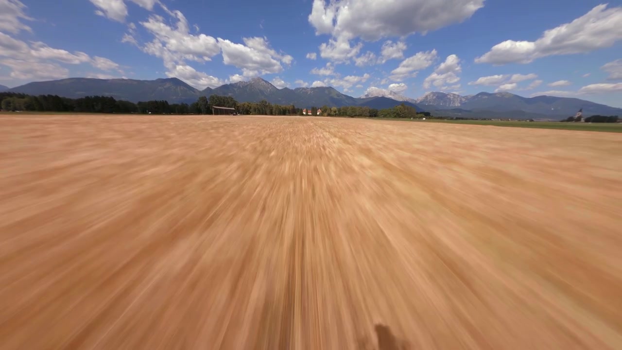 Grano prima del raccolto, riprese cinematografiche con drone FPV con GoPro 10 e filtri PolarPro