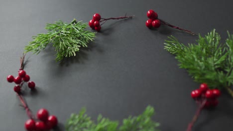 Video-of-christmas-decoration-sprigs-with-red-berries-and-copy-space-on-black-background