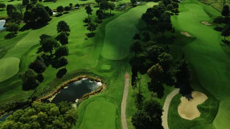 aerial drone forward moving shot over a green