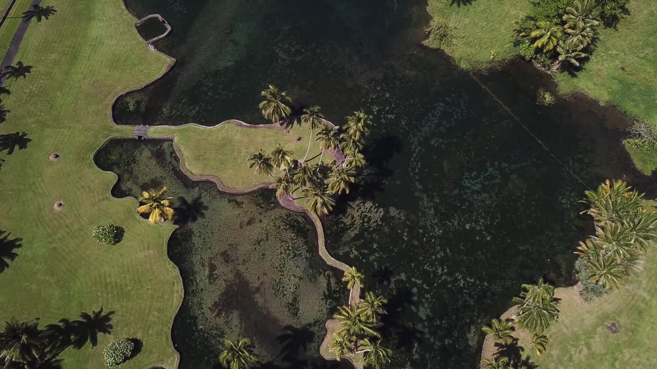 estanque en la isla grande, hawaii bordeado de palmeras y rocas