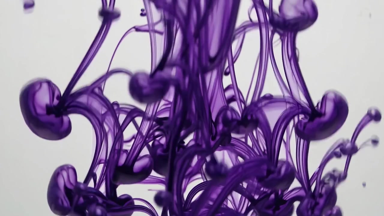 Slowmotion lilla blækdråber hvirvler i klart vand