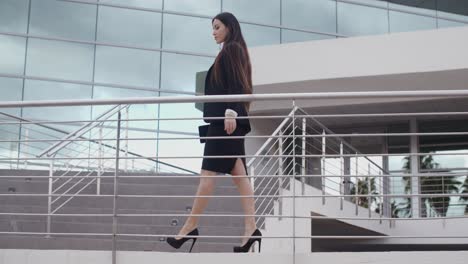 stylish confident business manageress