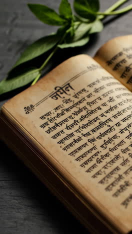 ancient sanskrit book with green leaves