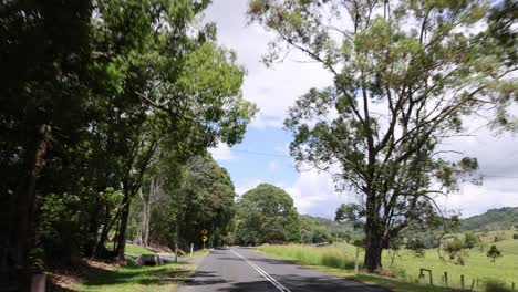 a peaceful drive along a tree-lined rural road