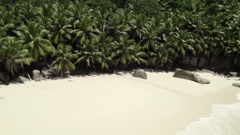 mahe seychelles, playa de inductancia, clientes relajándose en las toallas bajo la palmera de coco durante un día caluroso y soleado