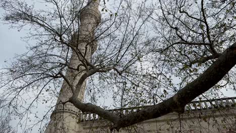 islamic architecture with towering pillars at blue mosque
