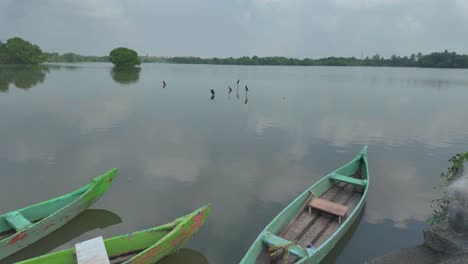 4k video of a beautiful lake with native birds trees reflecting on the water and old boats in india