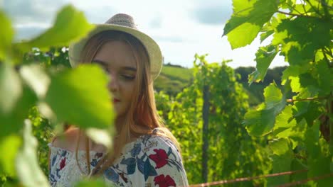 stunning hd footage of a young white caucasian woman gently touching the green leaves with her hand in a vineyard in the heart of prlekija, slovenia