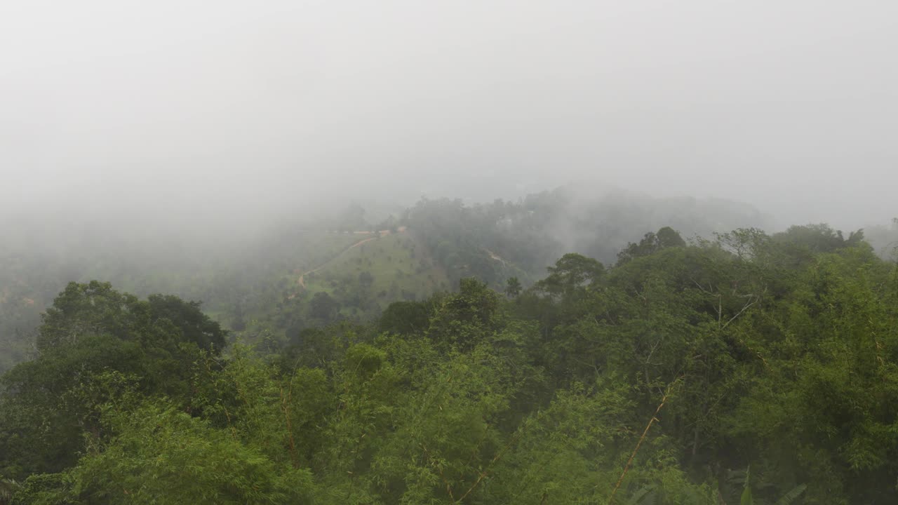 Scenic view of raindrops falling out of the sky on the forest trees on the Island of Koh Samui, Thailand, Tropical overcast.