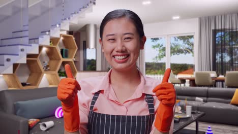 happy house cleaner