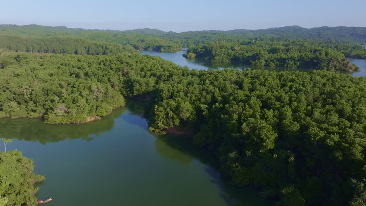 Dense Trees In The Forest At La Presa De Rincon In Dominican Republic. - aerial shot