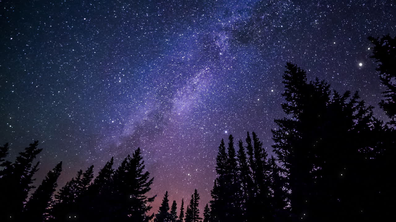 Video di foresta oscura con galassia sullo sfondo