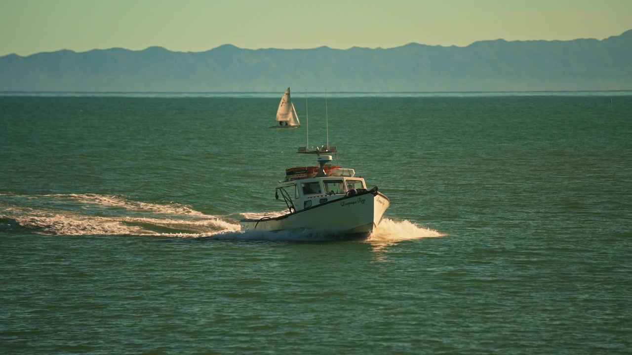 Peschereccio di ritorno dalla battuta di pesca quotidiana con il pescato a bordo.