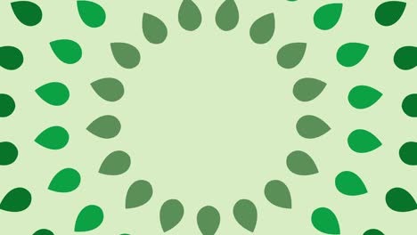 green leaves rotates on a light green background. ecology concept animated backdrop