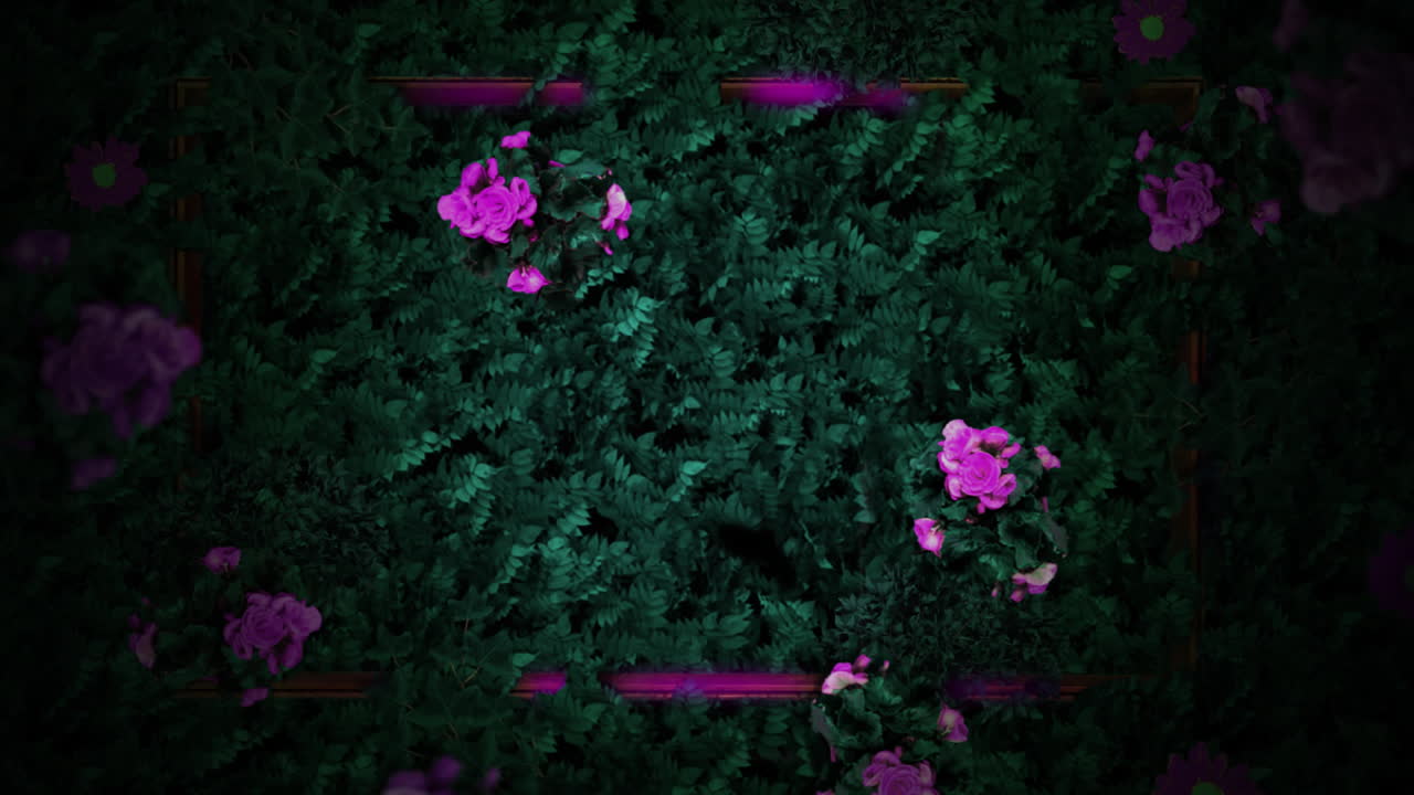 Animazione di fiori rosa tra foglie verdi, con sagome di farfalle e luci rosa