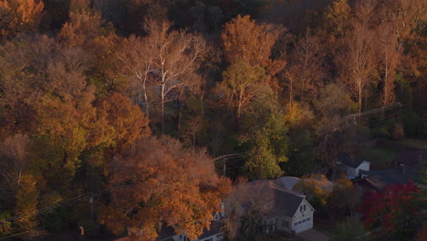 Aerial-of-beautiful-trees-in-Autumn-with-a-tilt-down-to-reveal-houses-and-street-in-a-nice-neighborhood-at-sunset