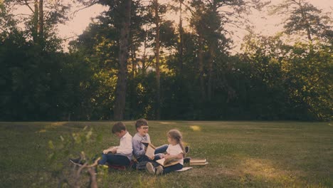 schoolboys prepare for tests with little girl on lush meadow