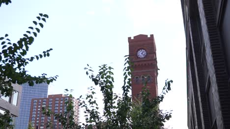 Clocktower-Above-Trees-In-Chicago-Illinois-South-Loop