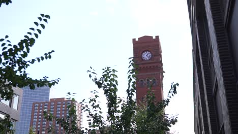 clocktower above trees in chicago illinois south loop