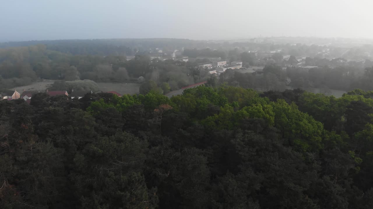 Aerial drone clip over a forest overlooking the town of Thetford in England