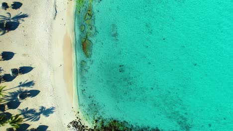 Vista-Panorámica-De-Arriba-Hacia-Abajo-A-Través-De-Bungalows-De-Playa-De-Arena-Blanca,-Palapas-Y-Aguas-Cristalinas-Del-Océano-En-La-Playa-Daaibooi-En-Curazao