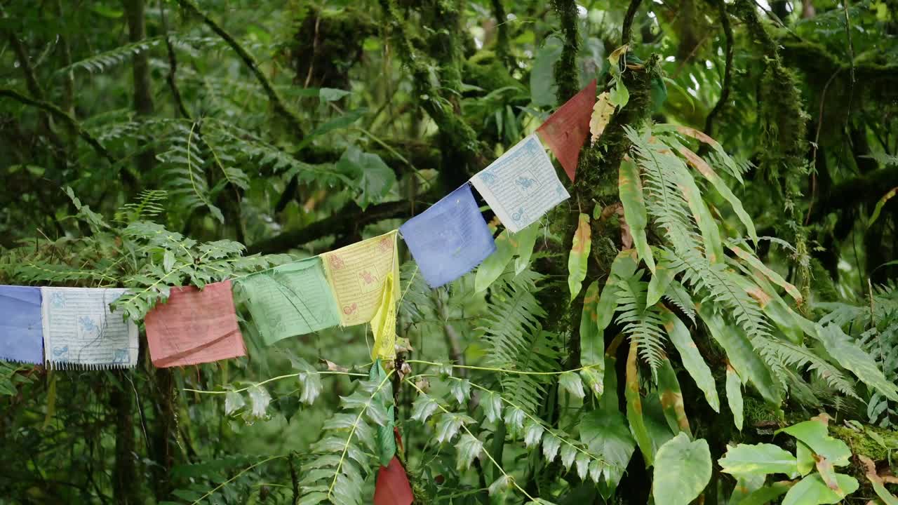 Prayer Flags in the Rainforest in Nepal, Colourful Buddhist Prayer Flags in Nature in Tropical Green Scene with Ferns Plants Trees and Greenery in Lush Luscious Setting in the Himalayas in Nepal