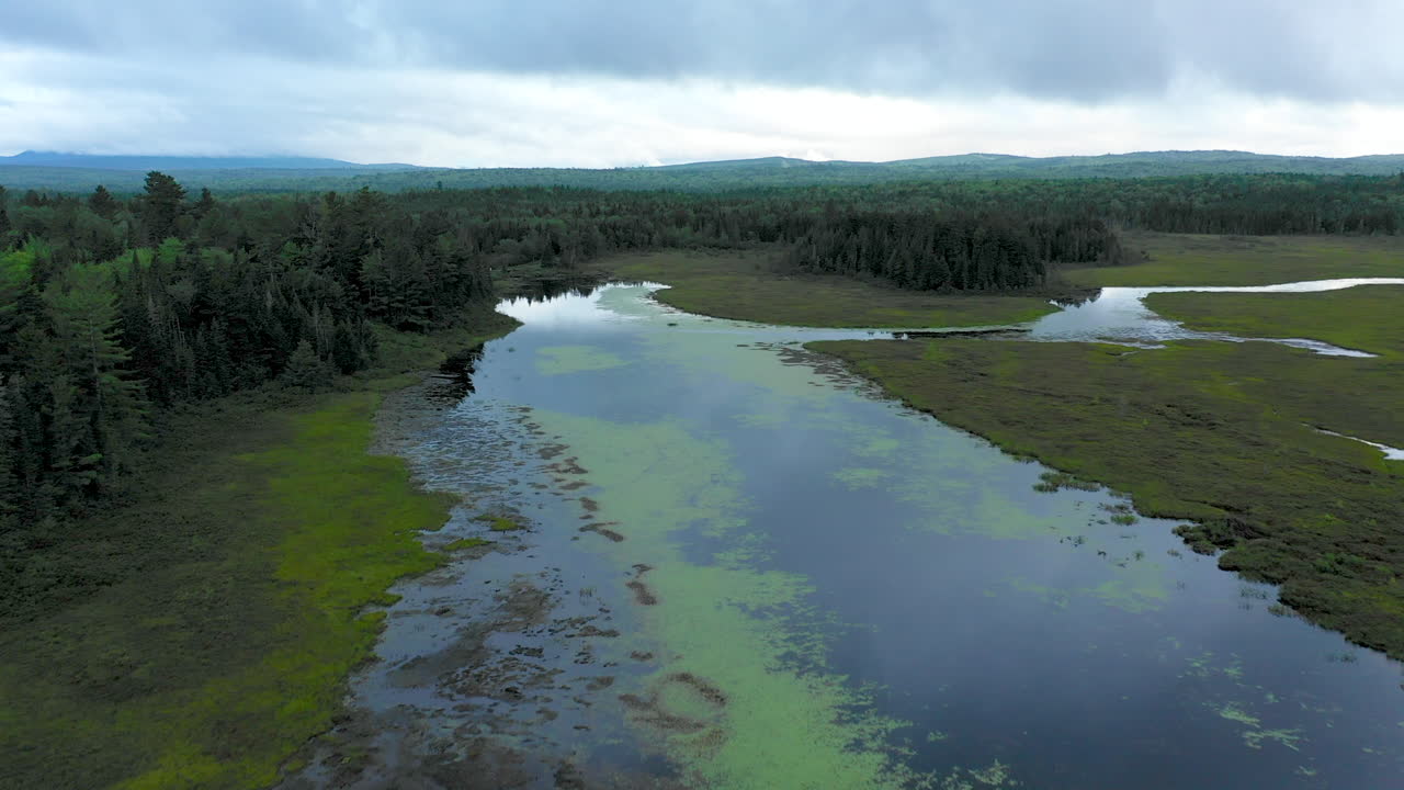 Aerial shot over the green murky waters of Shirley Bog winding through the Maine countryside surrounded by dark forest