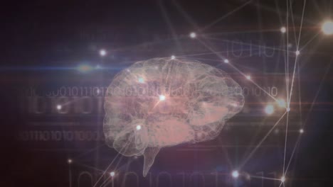 red de conexiones sobre el cerebro humano y procesamiento de datos de codificación binaria contra un fondo azul