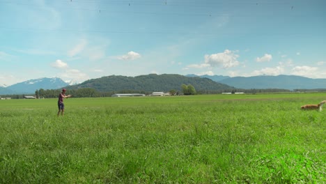 Man-playing-fetch-with-a-Golden-Retriever-on-a-field