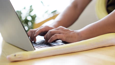 Man-working-with-snake-at-home