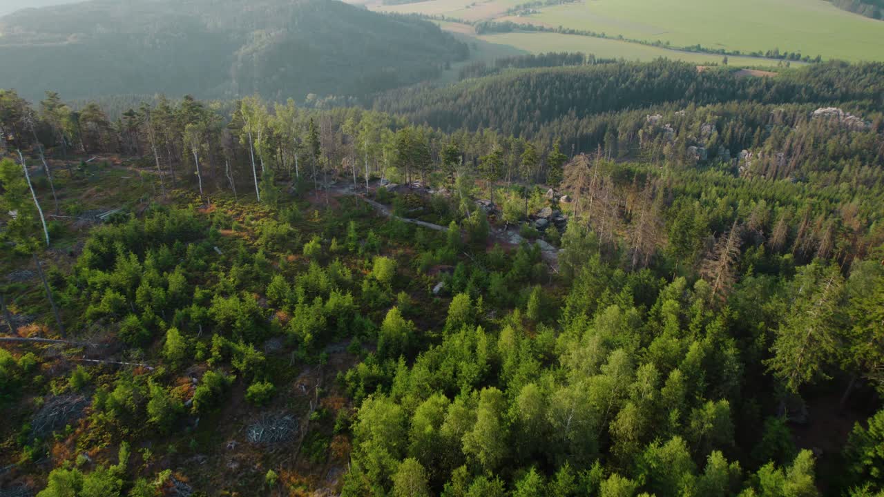 vista aérea de un bosque de montaña