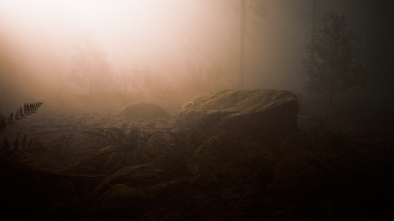 maravilloso paisaje del bosque de coníferas al final del otoño