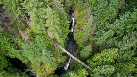 Luftüberführung-über-Die-Hängebrücke-Lynn-Canyon,-Vancouver,-BC,-Kanada